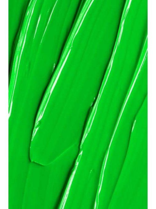 Gel Paint Neon Vert Super Pigmenté Andreia Végan