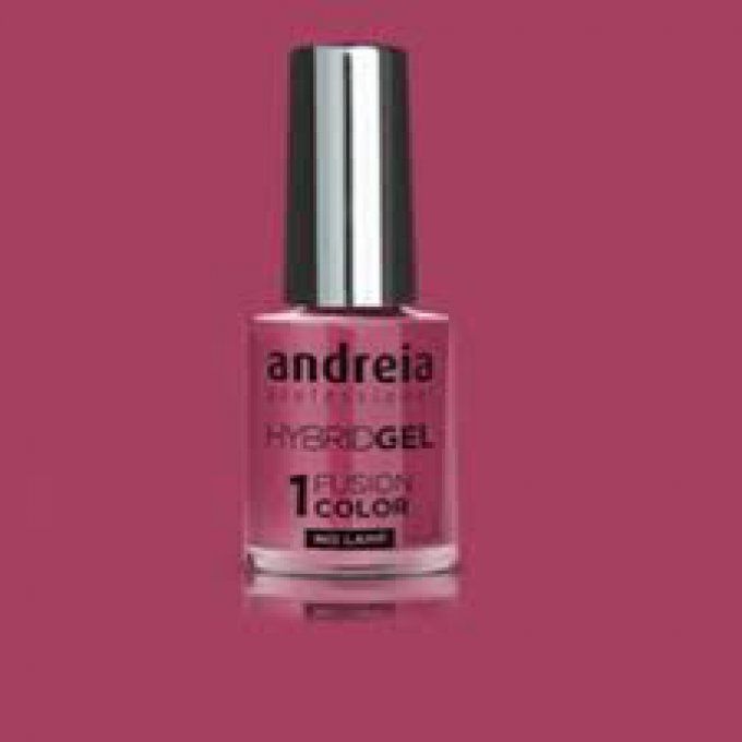 Vernis hybride H19