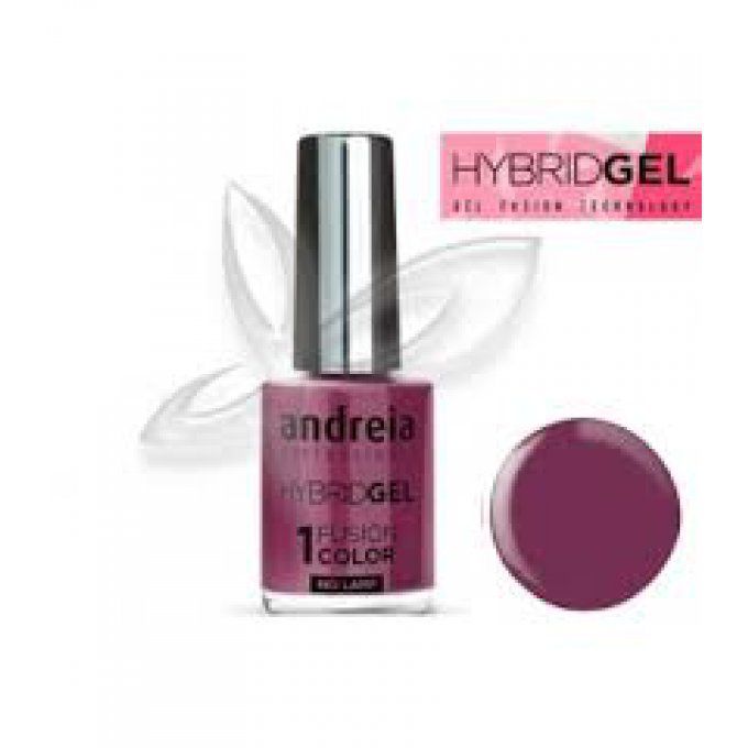 Vernis hybride H22
