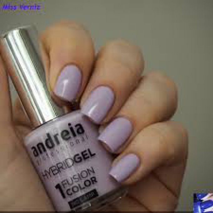 Vernis hybride H28