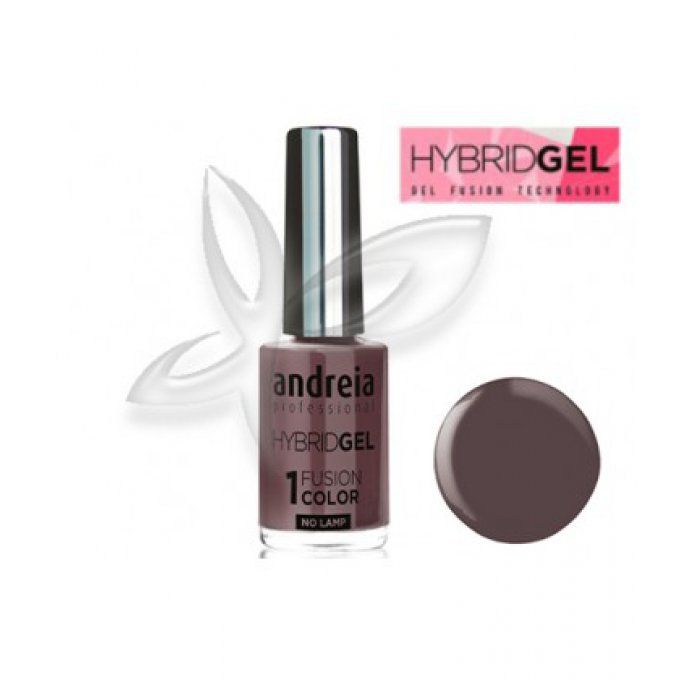 Vernis hybride H61