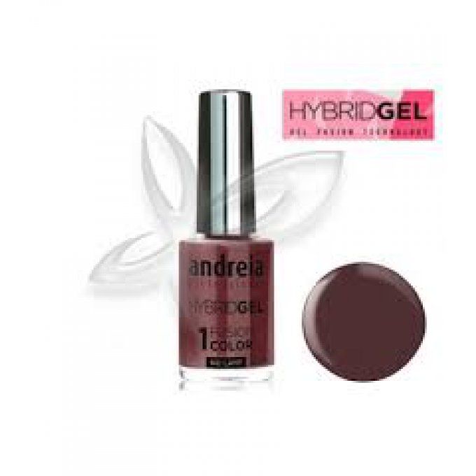 Vernis hybride H62