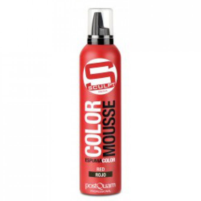 Mousse Couleur 300ML