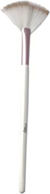 Pinceau pour illuminateur IDitalian 