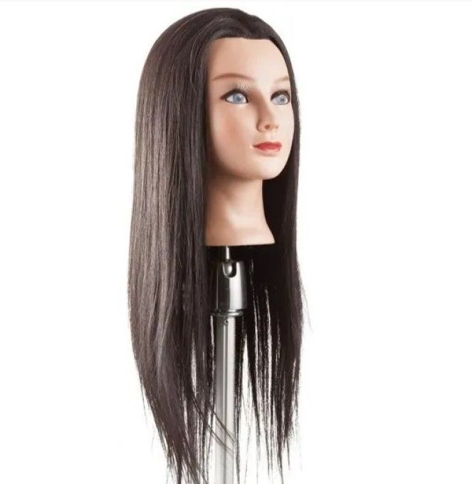 Tête d'apprentissage - Chevaux long